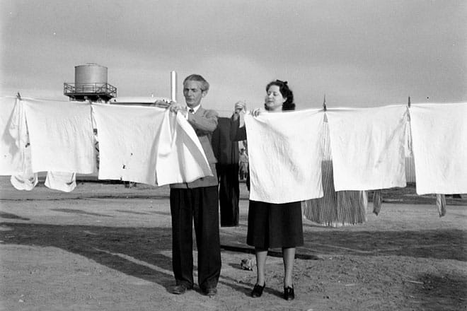 Sanora-Babb-Tom-Collins-Campo